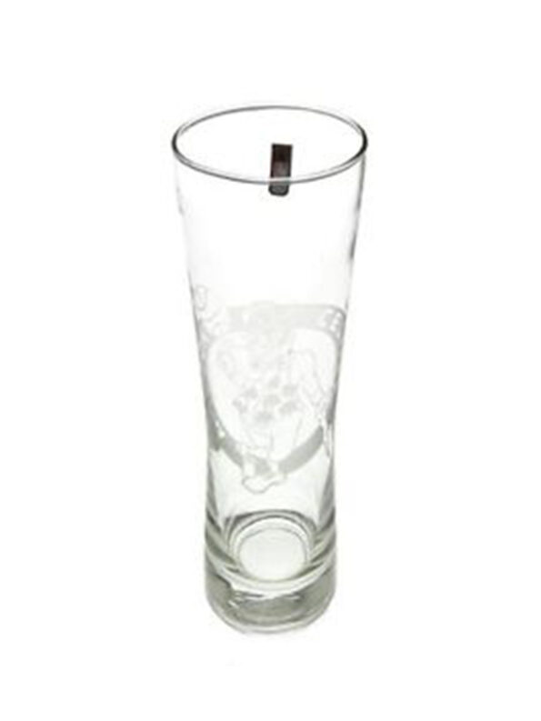 Boston Celtics Tall Beer Glass